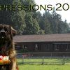 SLC Veranstaltungen - Clubschauen - 2018-Impressions